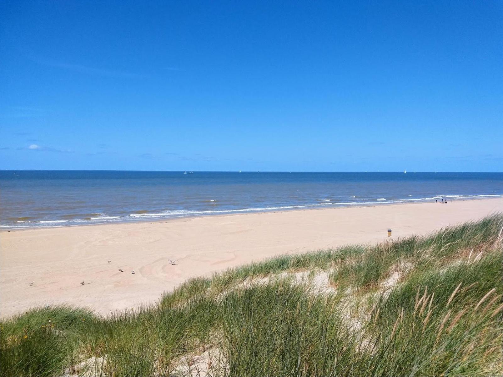 Strandchalet 브레데네 외부 사진