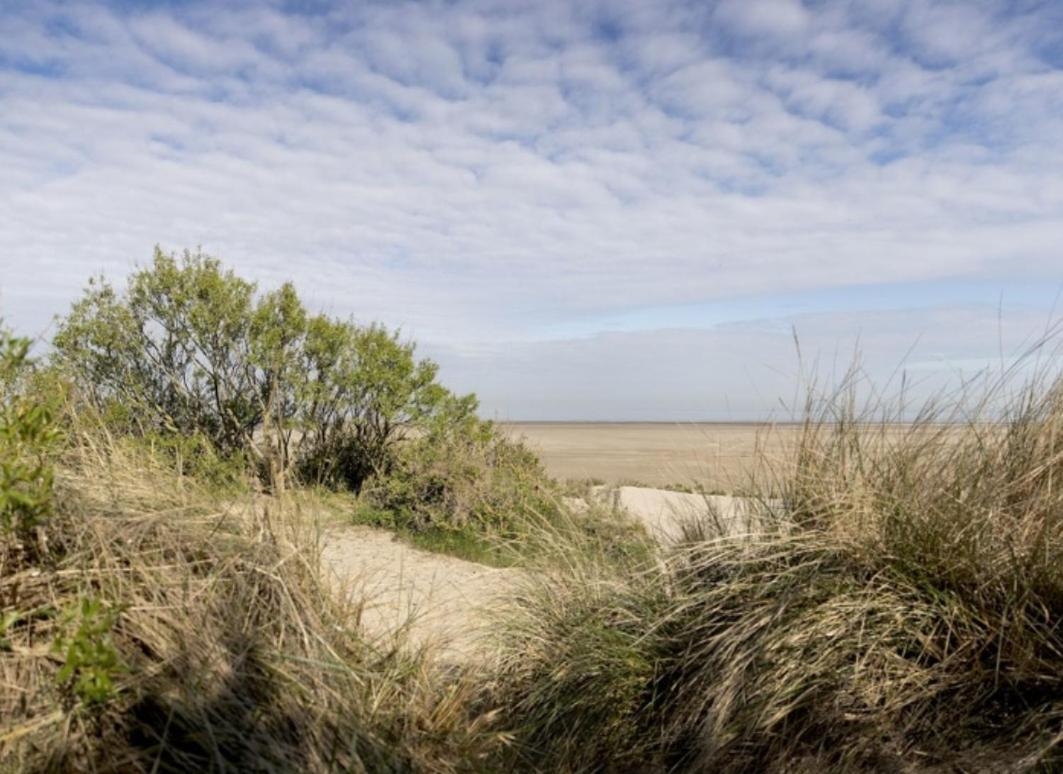 Strandchalet 브레데네 외부 사진
